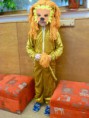 /album/fotogalerie-karneval/p1050280-jpg/